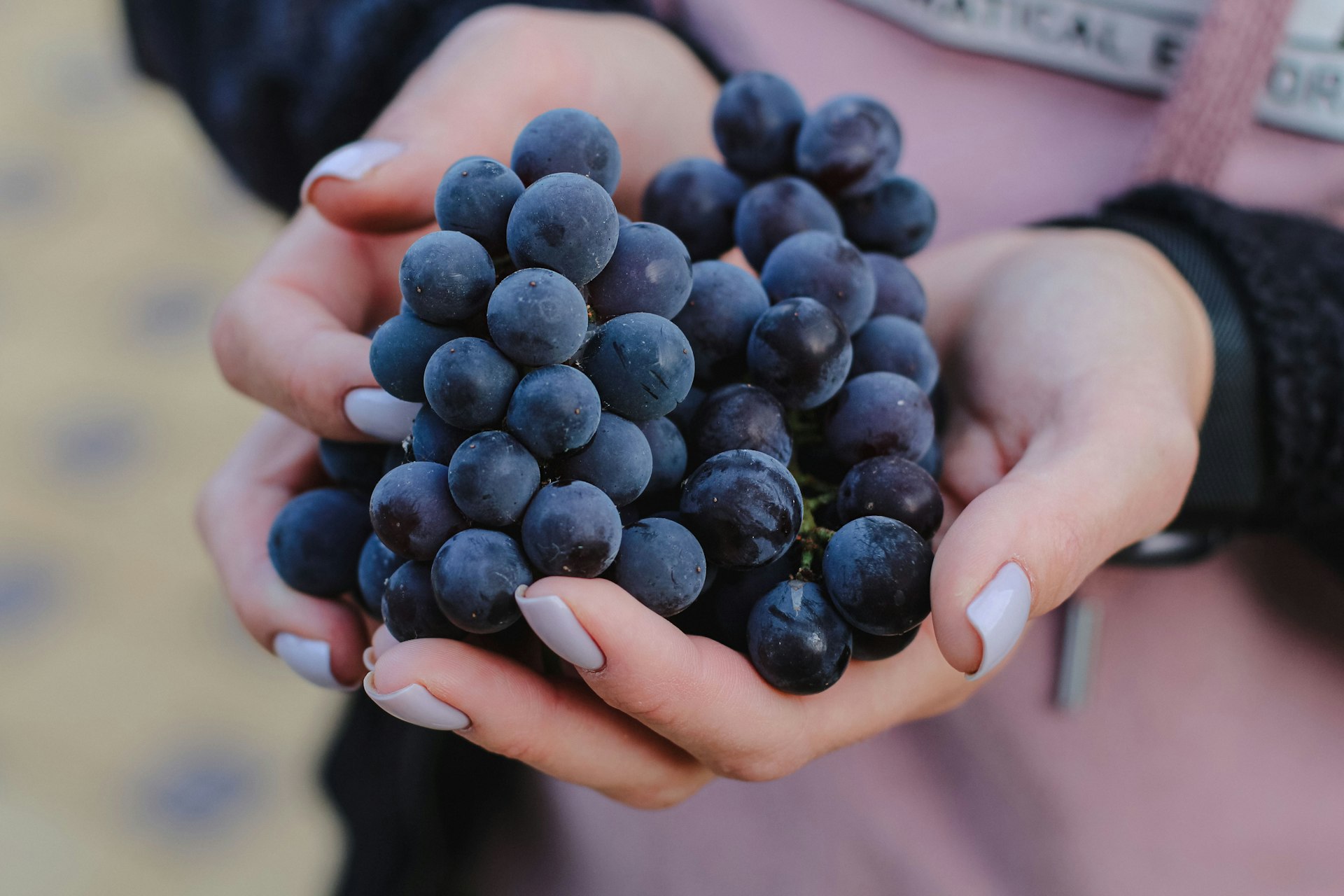 a person holding a bunch of blueberries